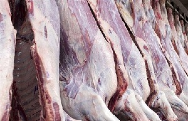 مرکز آمار: تولید گوشت قرمز در کشور ۲۰ درصد کاهش یافت